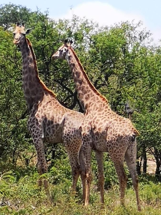 Boulders Safari Lodge Malalane Bagian luar foto
